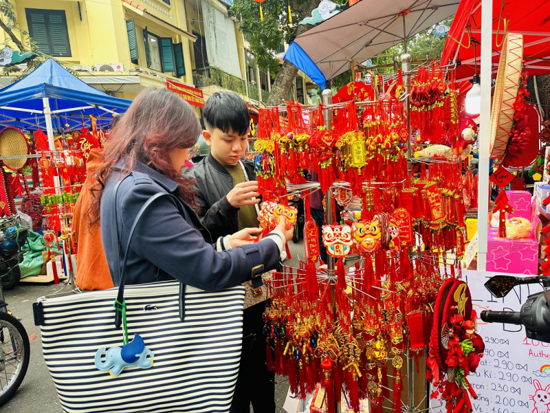 Nhộn nhịp chợ hoa xuân Hàng Lược -0