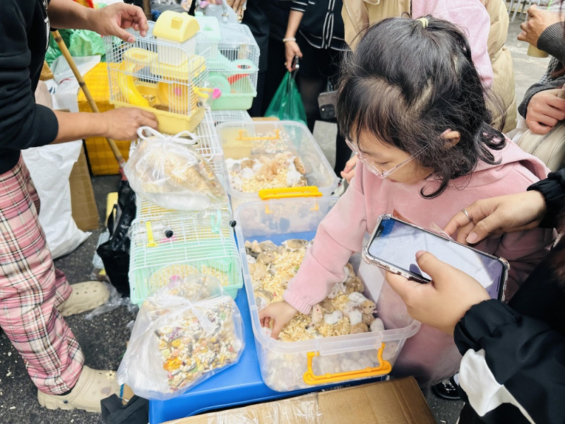 Nhộn nhịp chợ hoa xuân Hàng Lược -0