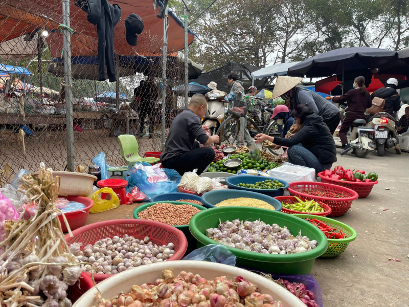 Thị trường ngày 24 Tết Ất Tỵ: Chuối xanh đắt đỏ -0