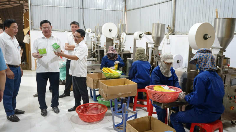 Triệu Sơn trở thành huyện nông thôn mới nâng cao của tỉnh Thanh Hoá -0