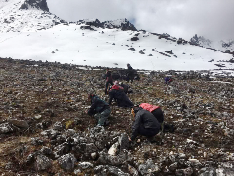 Tìm “sâu vàng” trên đỉnh Gangkhar Puensum, Bhutan _CAND TET_T45 -0