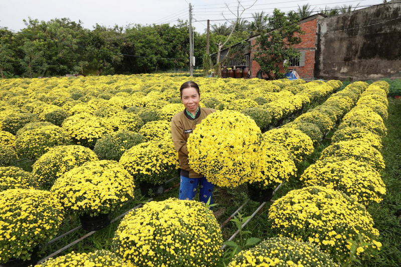 ĐBSCL: Hàng hóa dồi dào, sức mua tăng -0
