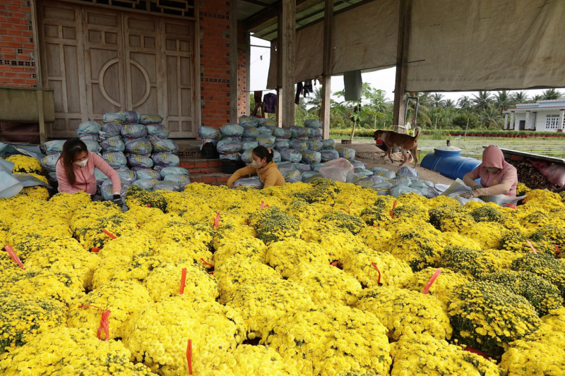 ĐBSCL: Hàng hóa dồi dào, sức mua tăng -0