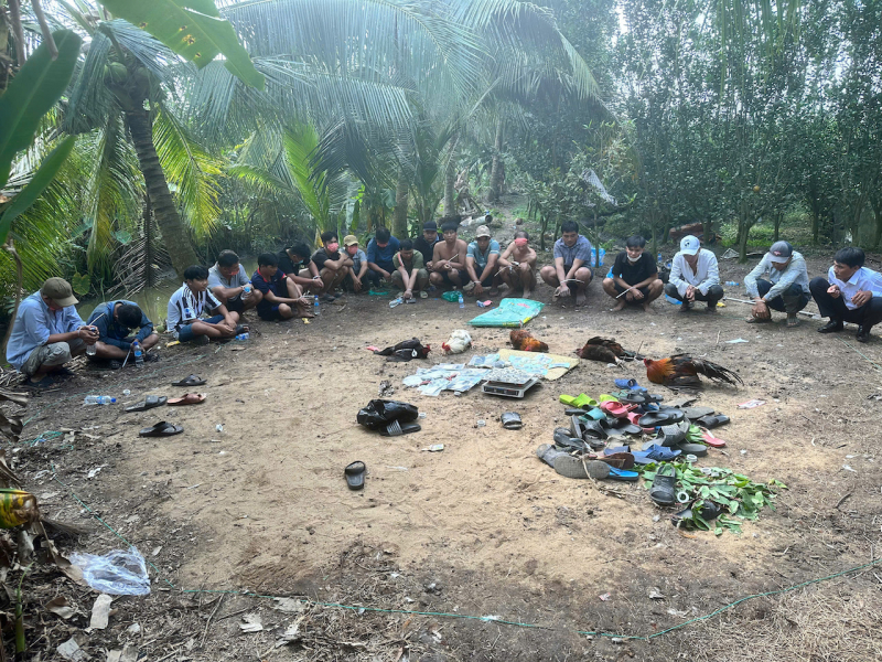 Công an Vĩnh Long triệt xóa sới bạc nằm sâu trong vườn cam -0