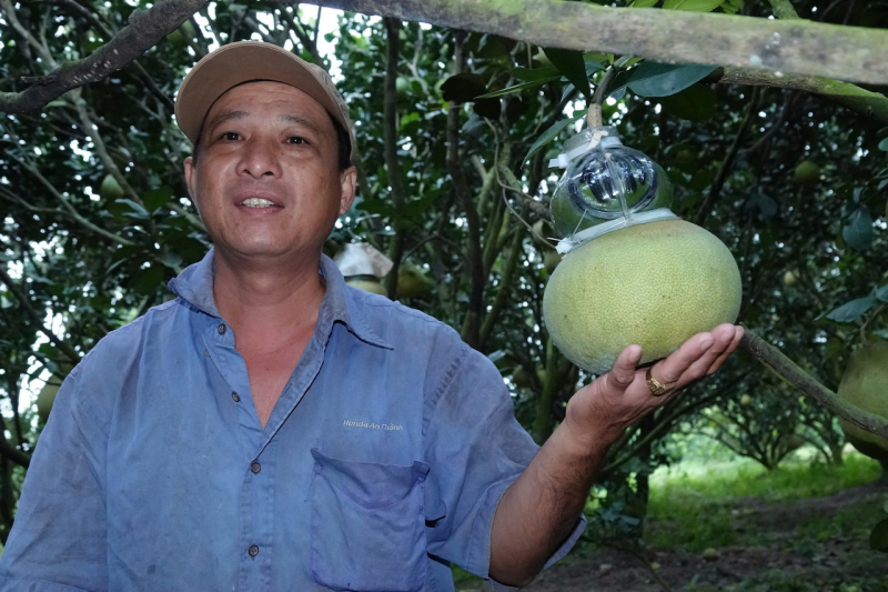 ĐBSCL: Hàng hóa dồi dào, sức mua tăng -0