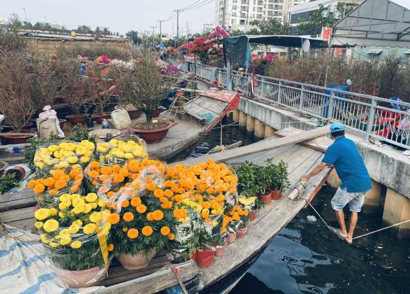 Sôi động chợ hoa xuân 