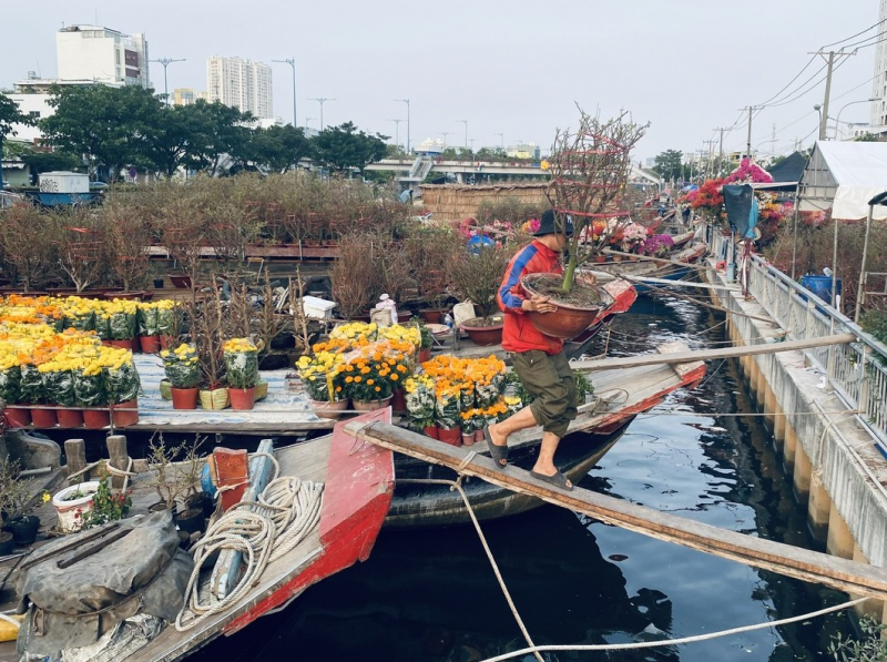 Sôi động chợ hoa xuân 