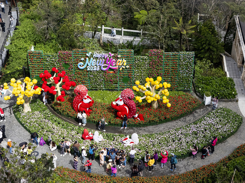 Hàng nghìn khách đến du xuân tại Sun World Ba Na Hills đầu năm mới 2025 -0