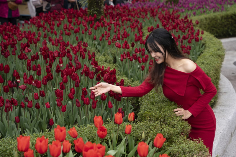 Hàng nghìn khách đến du xuân tại Sun World Ba Na Hills đầu năm mới 2025 -0