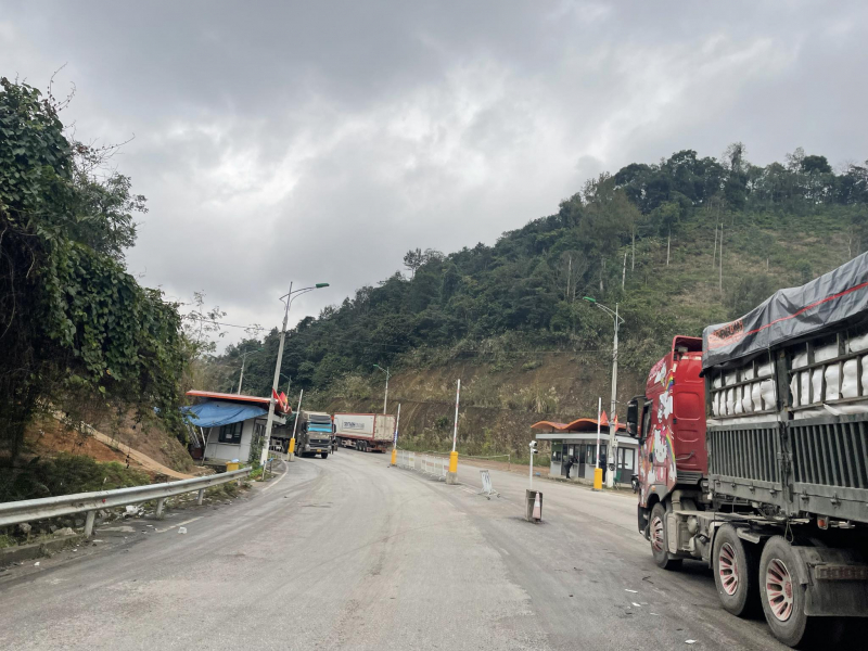 hoat dong xuat khau hang hoa dien ra nhon nhip dau xuan