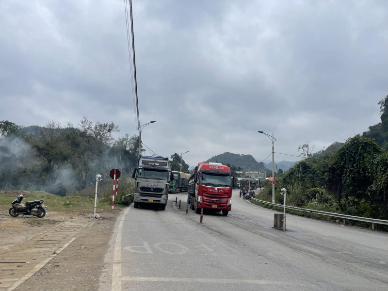 hoat dong xuat khau hang hoa dien ra nhon nhip dau xuan