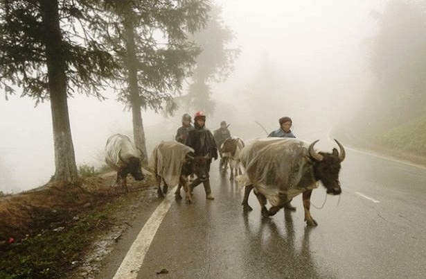 Không khí lạnh rất mạnh có thể gây rét dưới 2 độ vào cuối tuần -0