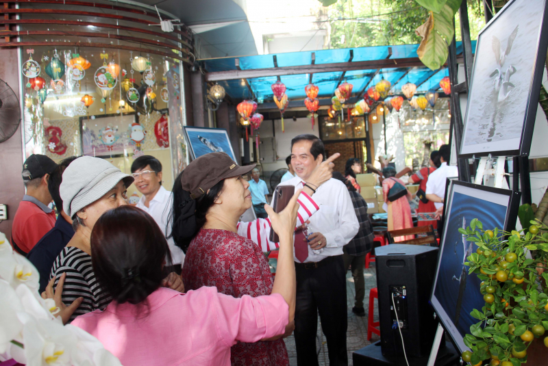 Triển lãm ảnh nghệ thuật “Những khoảnh khắc thiên nhiên Nhạn và Hải âu” -1