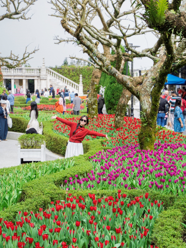 Miễn phí vé cáp treo tham quan Bà Nà đêm: ưu đãi du xuân đặc biệt hấp dẫn tại Đà Nẵng -0