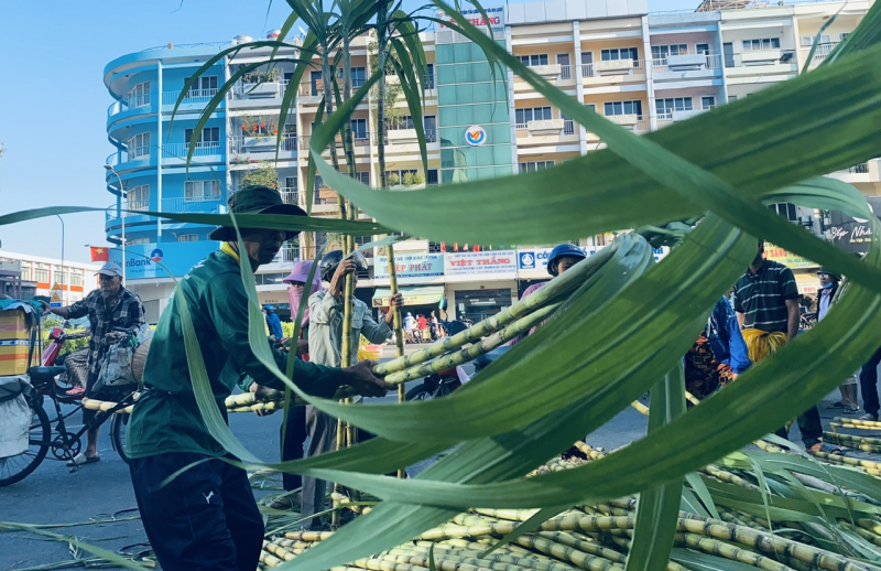 Người dân dậy sớm mua mía vàng về cúng “vía” Ngọc Hoàng -0