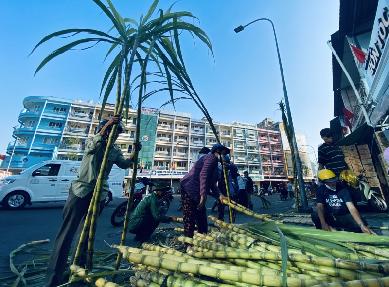Người dân dậy sớm mua mía vàng về cúng “vía” Ngọc Hoàng -1