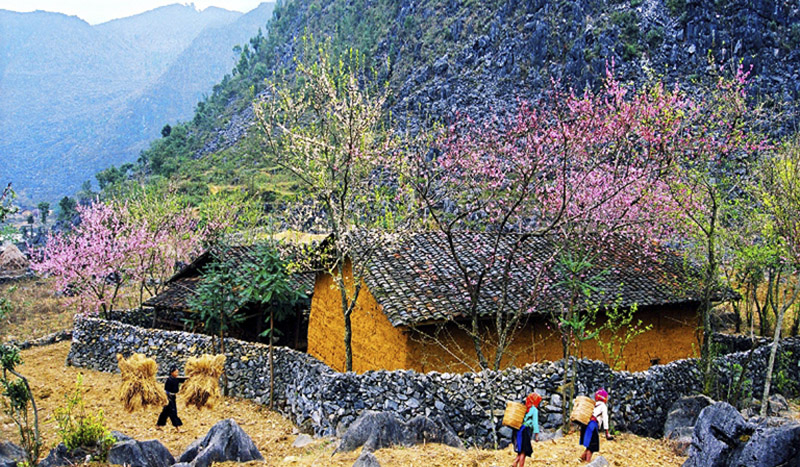 Du xuân xứ đá Hà Giang -0