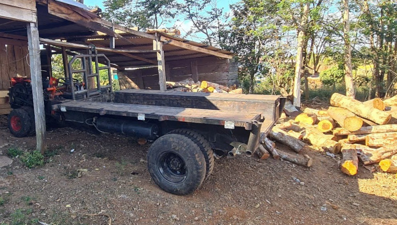 Điều tra vụ phá rừng quy mô lớn dọc tuyến biên giới -0