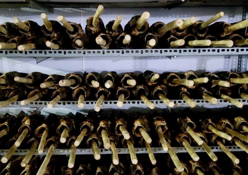 Phố cá lóc nướng sực mùi ngày vía Thần tài -1