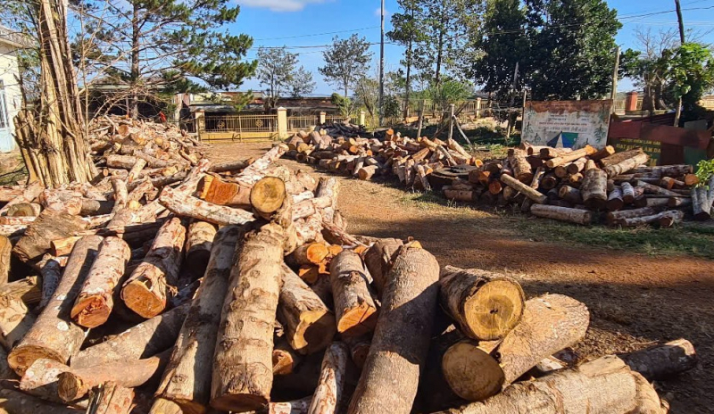 Chuyển Công an tỉnh điều tra vụ phá rừng quy mô lớn ở Đắk Nông -0