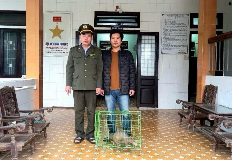 Người dân giao nộp nhiều cá thể động vật quý hiếm có tên trong Sách đỏ -0