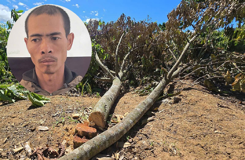 thu-pham.jpg -0