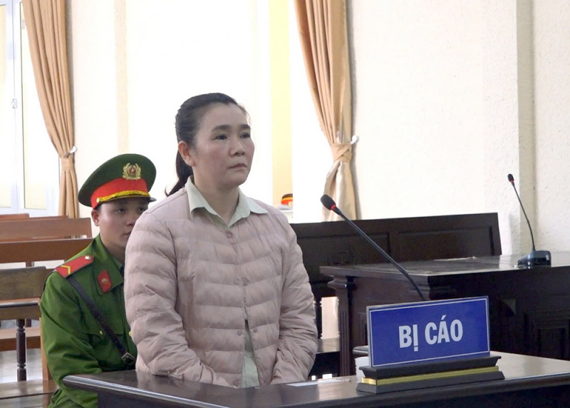 Vào tù vì bán đất của người khác -0