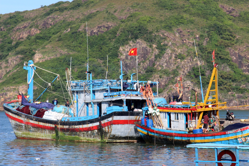 Bình Định: 2 thuyền viên rơi xuống biển, mất tích -0