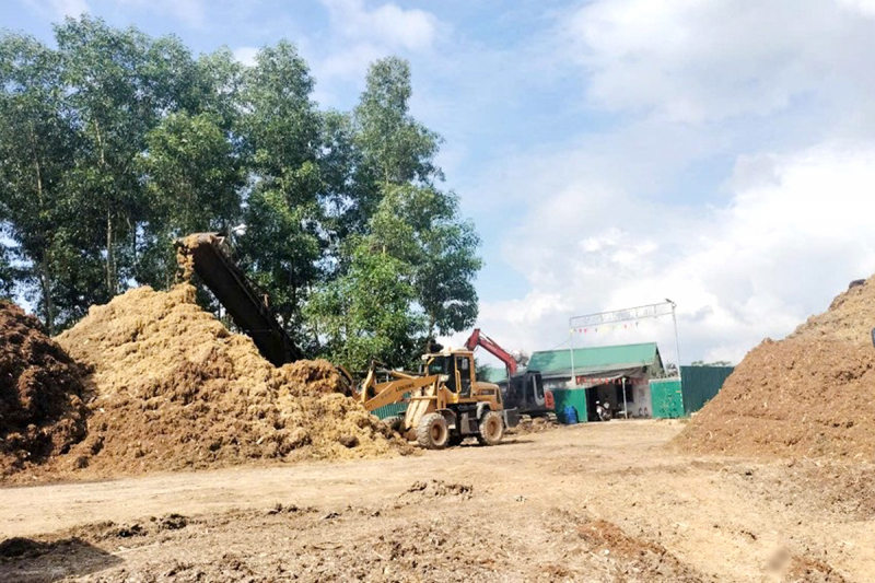 Phê bình địa phương vì để các cơ sở băm dăm hoạt động không phép -0