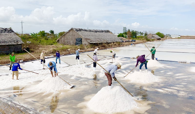 Độc đáo cây đàn kìm bằng muối tại Bạc Liêu  -0