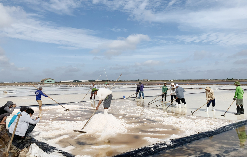 Độc đáo cây đàn kìm bằng muối tại Bạc Liêu  -1