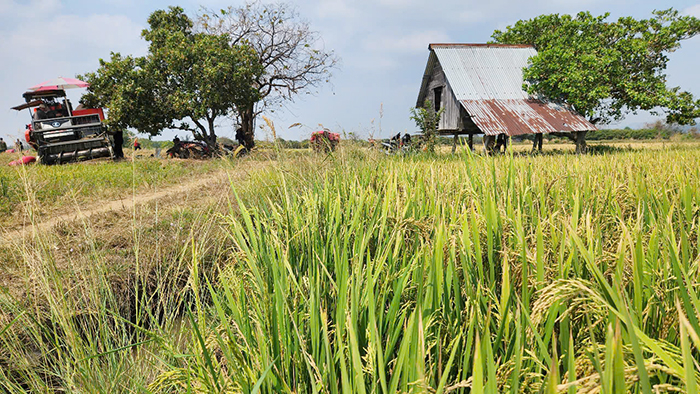 Dòng nước mát đưa xã biên giới ấm no -0