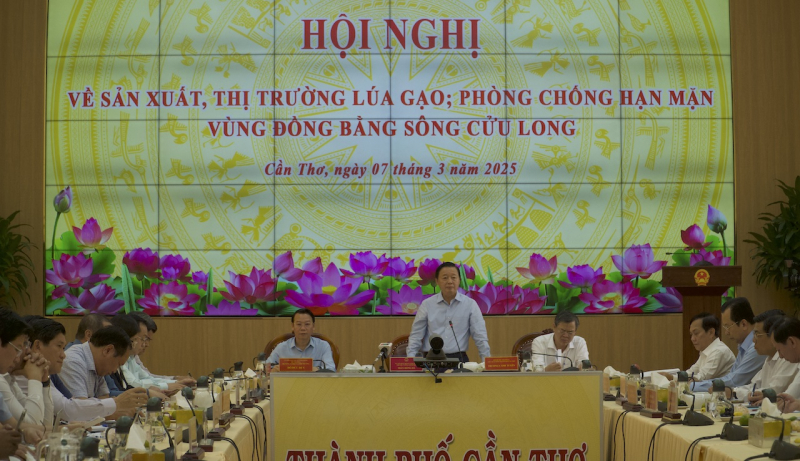 Giá lúa giảm nhưng vẫn đảm bảo lợi nhuận cho nông dân -0