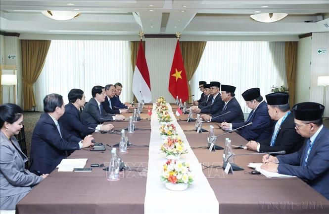 Nâng tầm quan hệ Đối tác chiến lược Việt Nam - Indonesia -1