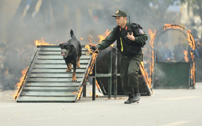 z6386874319383_1642d61961a8d0053ed4033d24694adb.jpg -0