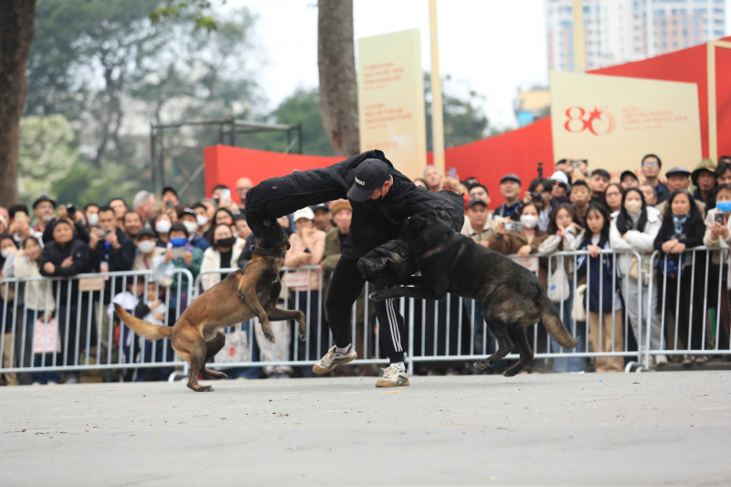 z6386897063718_9829e28344d6ddd3a743f10ae26fab08.jpg -0