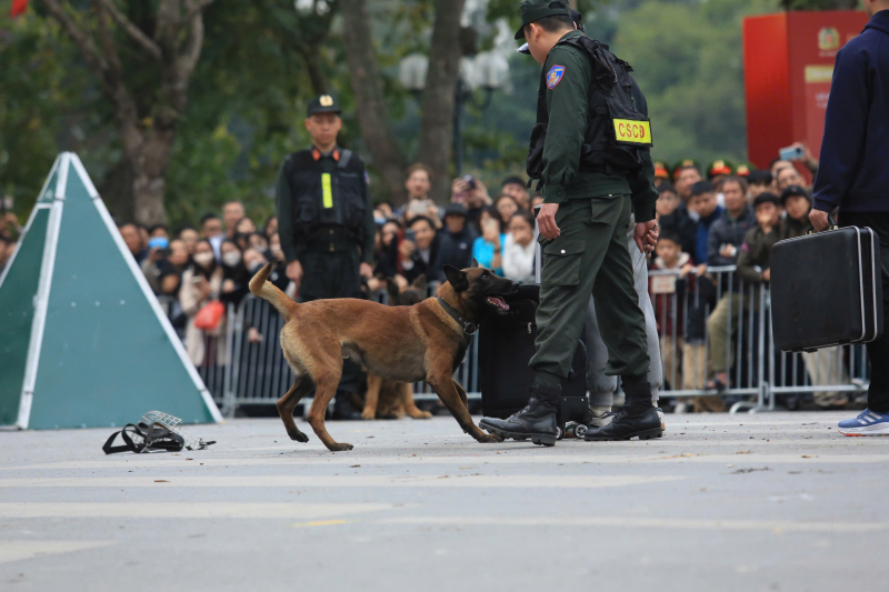 z6386897074429_c086106e36676463f4fa202b30898662.jpg -0