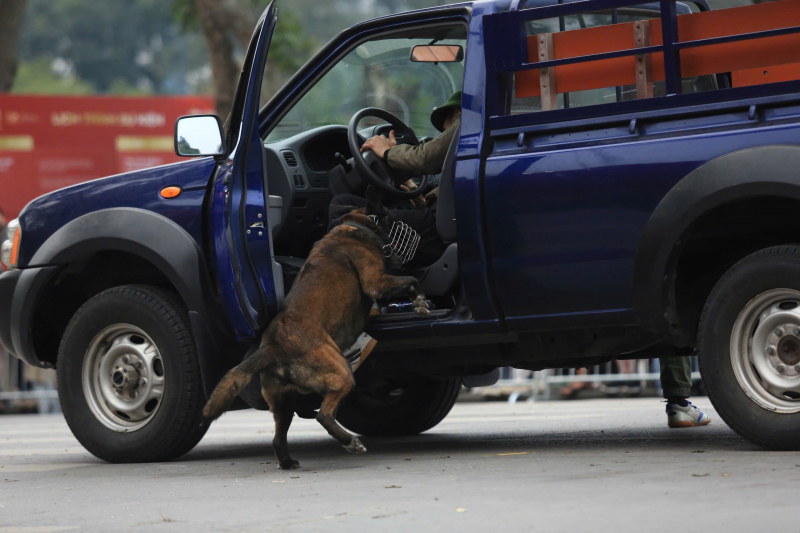 z6386897104792_99b92c193e9adc9ec5dda0abe4633130.jpg -0