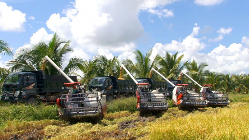 z6393051145923_85b7d004b8711216076d7a5144adfd16.jpg -0