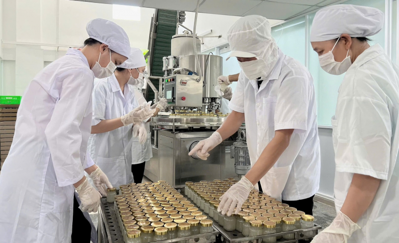 Từ ngày 1/4 tiến hành điều tra doanh nghiệp năm 2025 trên cả nước -0