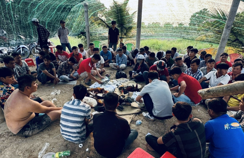 Trường gà trong vườn thu hút cả trăm con bạc “khát nước” mỗi ngày -0