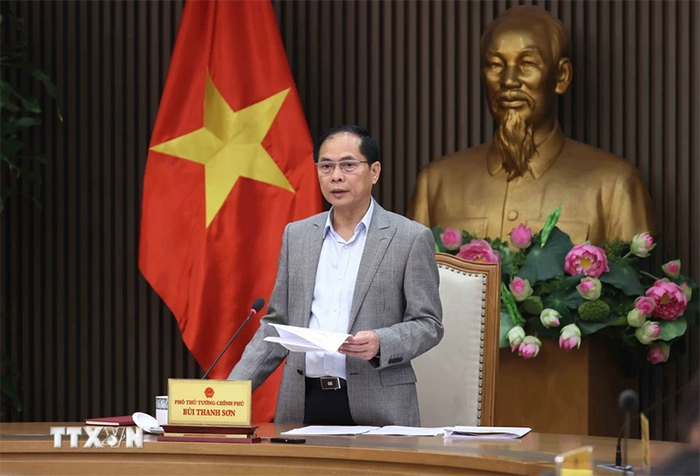 Phó Thủ tướng Bùi Thanh Sơn: Tiếp tục các biện pháp ngoại giao để tác động Hoa Kỳ có giải pháp phù hợp -0