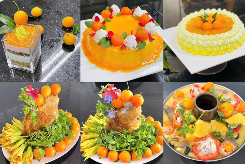 លោក Vinh Long រំពឹងថាឧស្សាហកម្មទេសចរណ៍នឹងរួមចំណែកយ៉ាងសំខាន់ក្នុងកំណើនសេដ្ឋកិច្ច -0