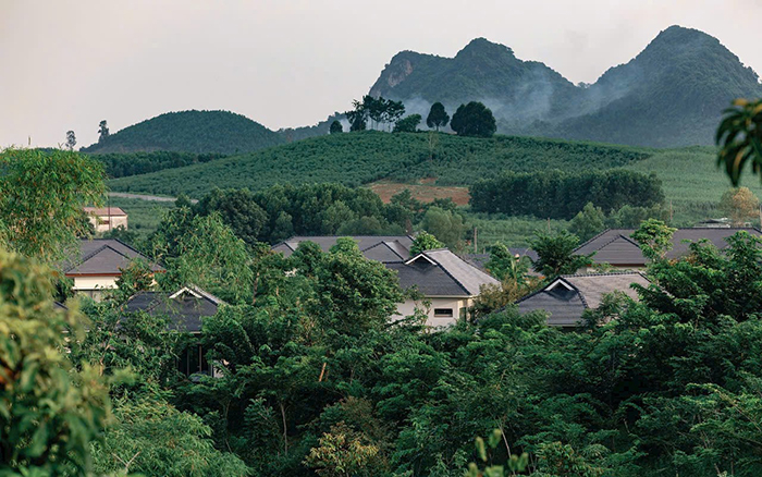 An hưởng giữa miền xanh LAMORI - LAM KINH -0