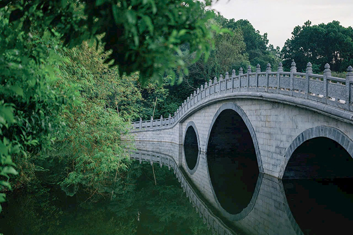 An hưởng giữa miền xanh LAMORI - LAM KINH -0