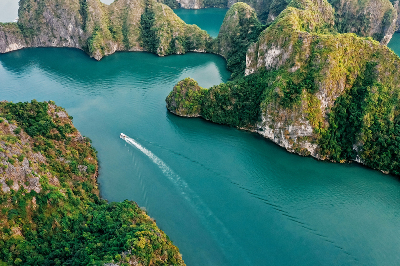 PGS. TS. Trần Đình Thiên: Cát Bà thuận lợi để phát triển đảo du lịch xanh cùng trải nghiệm đặc sắc -0
