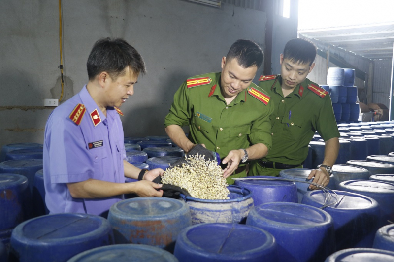 Thủ đoạn của 4 đối tượng sản xuất 3.500 tấn giá đỗ ngâm hóa chất -0