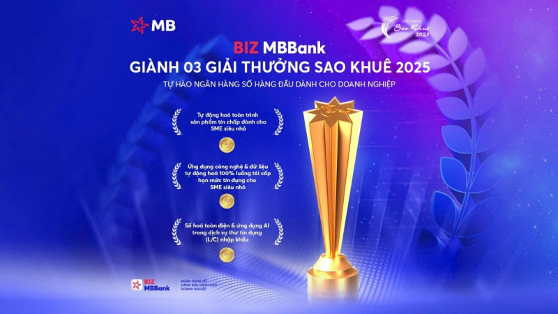 BIZ MBBank giành 3 giải Sao Khuê nhờ công nghệ AI và dữ liệu lớn -0