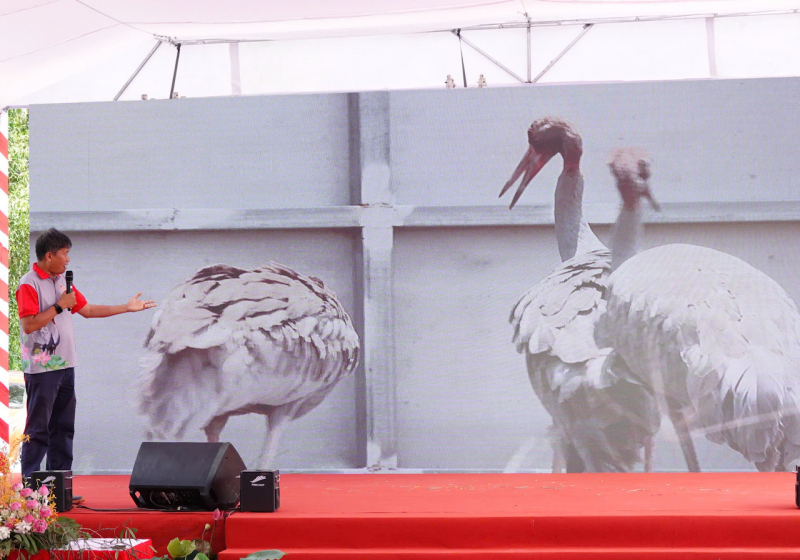 Phó chủ tịch Quốc hội Lê Minh Hoan đánh giá cao đề án bảo tồn và phát triển sếu đầu đỏ -0