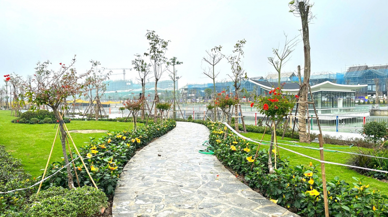 Hàng trăm tỷ đồng phủ xanh đô thị nghỉ dưỡng Sun Group tại Nam Hà Nội -0